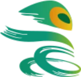 WRC: молодёжное проектирование роботов и информационная грамотность LOGO
