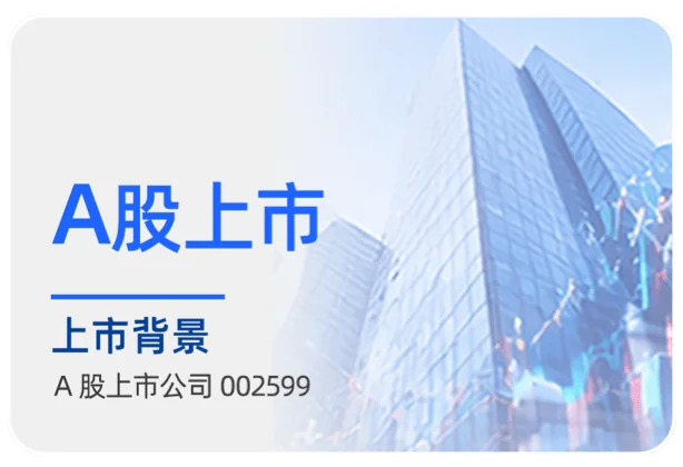 上市背景